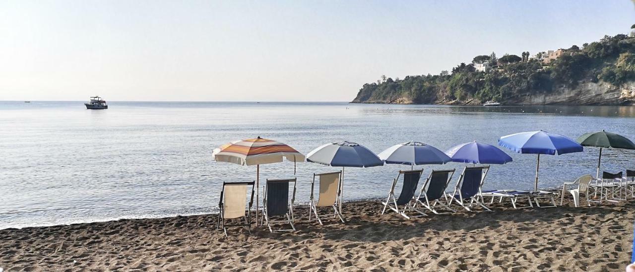 Calise Guest House Προτσίντα Εξωτερικό φωτογραφία